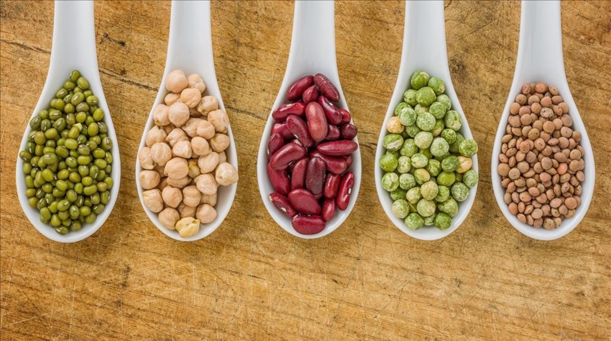 Día Mundial de las Legumbres: ¿qué legumbres produce Yucatán? ¿en cuáles es líder productor?