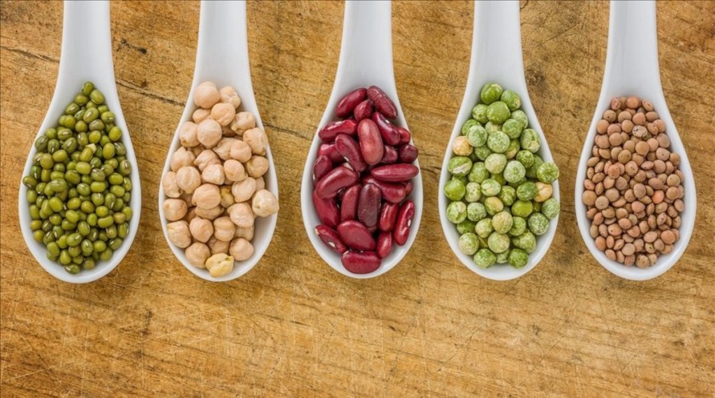 Día Mundial de las Legumbres: ¿qué legumbres produce Yucatán? ¿en cuáles es líder&nbsp;productor?